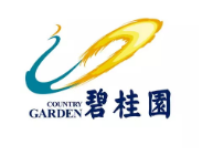 花山碧桂园地产